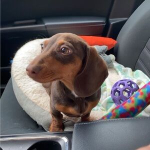 Meet your Posher, Hope